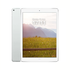 Apple iPad Air 1ère génération 16 Go WiFi uniquement Argent - Très bon état - Reconditionné